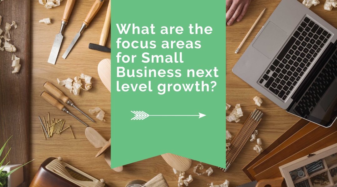 What are the focus areas for Small Business next level growth?